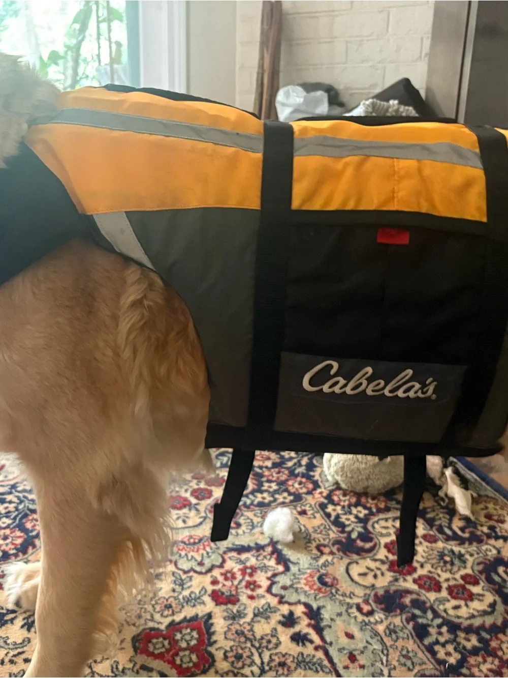 Life Vest / PFD for dogs
